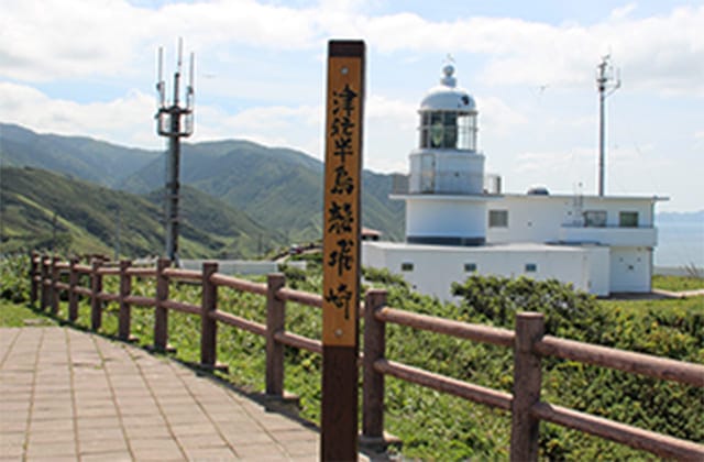 わんタクデマンド型運行エリア