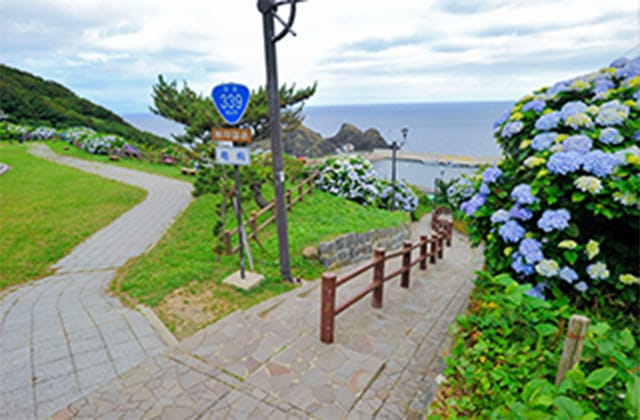 わんタクデマンド型運行エリア